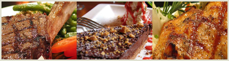 spark woodfire grill